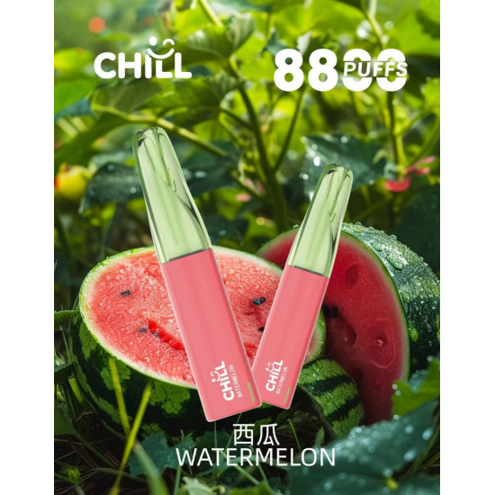 正品 始祖鳥CHILL一次性電子煙8800口 CHILL抛棄式電子煙8800口