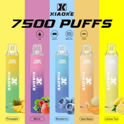 正品 XIAOKE一次性7500口 梟客XIAOKE拋棄式電子煙